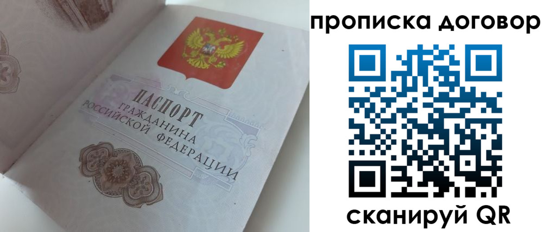 прописка поиск в Лосино-Петровском